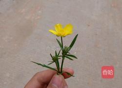 青瓜汁的做法图解3