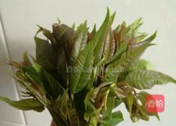 香椿煎焖鸡蛋的做法图解1