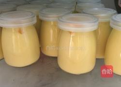 芒果布丁的做法图解11