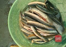 香辣泥鳅的做法图解3