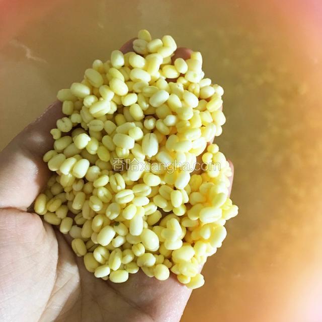 把买来的脱皮绿豆提前侵泡一晚，或六小时以上。