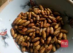 ﻿﻿﻿﻿﻿﻿﻿﻿﻿﻿﻿﻿﻿﻿﻿﻿﻿﻿﻿﻿﻿﻿油爆蚕蛹的做法图解1