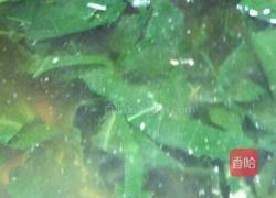 豆角叶汤的做法图解2