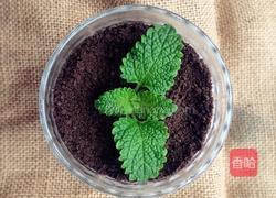 奥利奥盆栽（简易版）的做法图解4