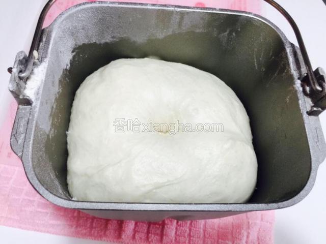 然后交给面包机，机种不同，大约50分钟左右，打开盖子，是这样的，这时候第一次发酵也一起完成，用手指按下去不会马上收缩回去、就说明可以了，感觉还不够，就再等一会儿