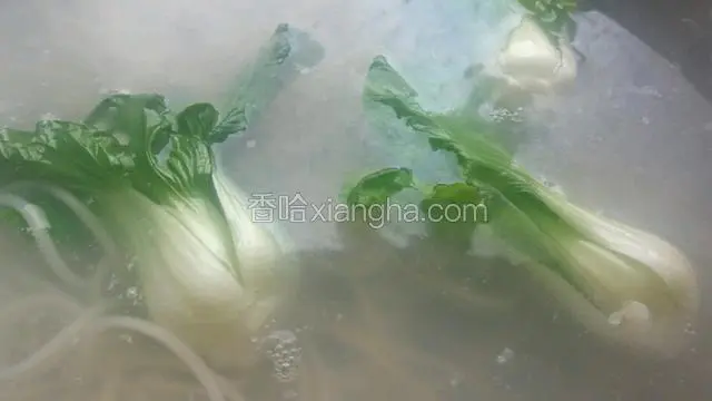 盛面的同时放入菜心略烫一下。