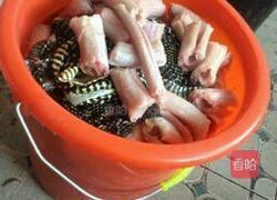 口味蛇的做法图解2