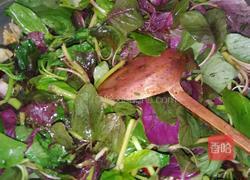 炒小米菜的做法图解4