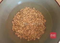 薏仁银耳羹的做法图解2