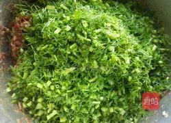 茴香猪肉馅饼的做法图解5