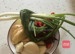 三杯鸡的做法图解4