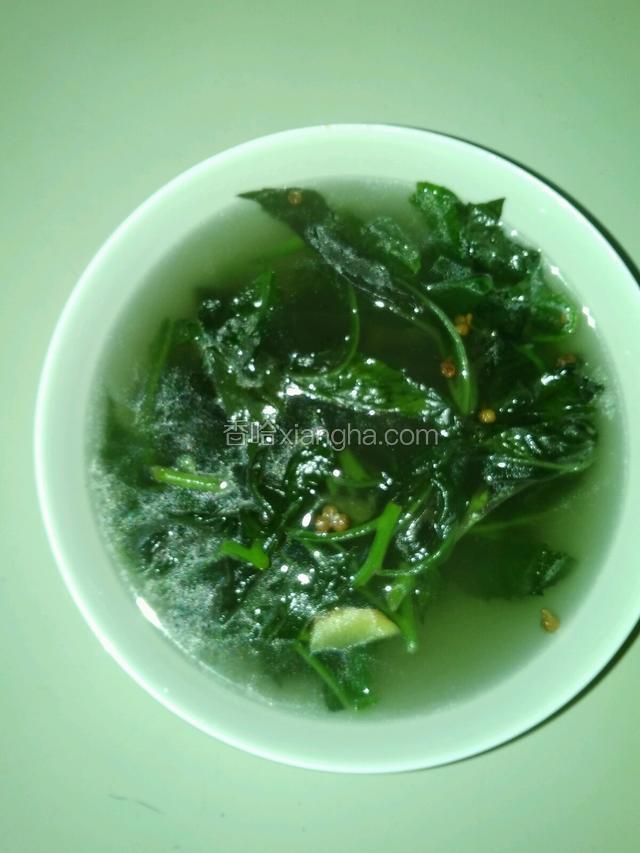 紫背天葵