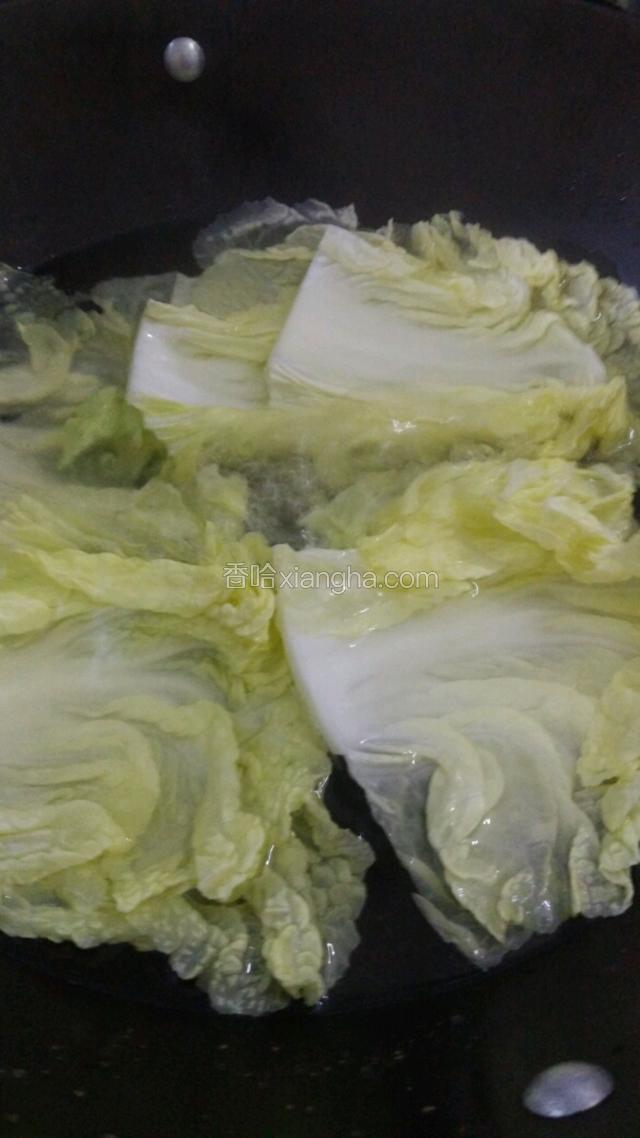 白菜去掉白菜帮，洗净，用开水灼软。