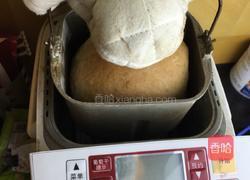 日常面包(面包机版)的做法图解3