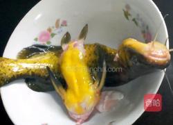 铁观音昂刺鱼的做法图解1