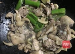鲜菇爆炒鸡肉的做法图解6