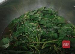 凉拌苋菜的做法图解2