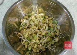 剁椒黄豆芽的做法图解1