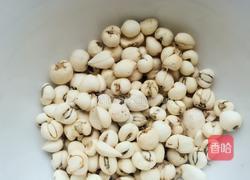 川贝陈皮柠檬膏的做法图解2