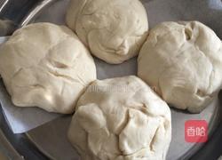 大白菜猪肉包的做法图解6