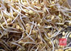 炒黄豆芽的做法图解1