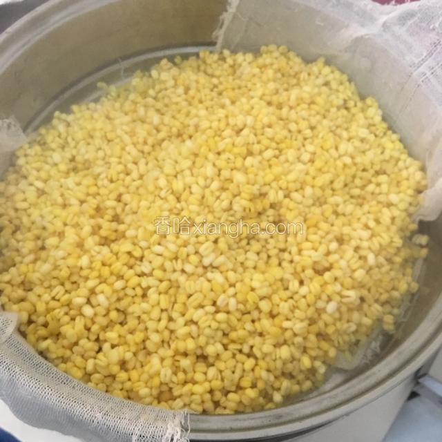 沥干水分，蒸