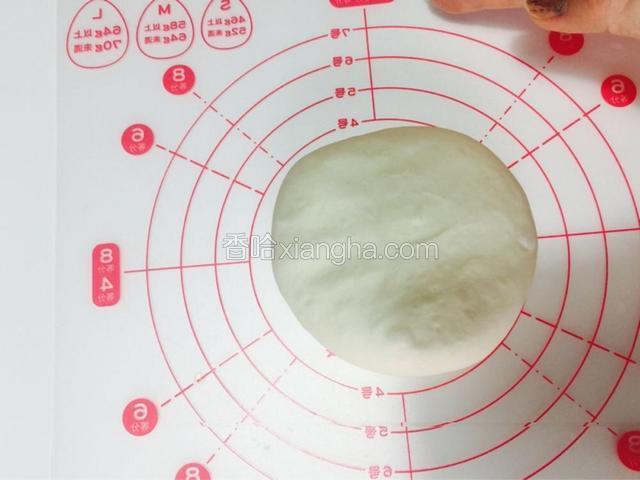 30分钟后取出，不需要继续发酵，用手轻轻按下排气