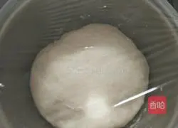 Honey bean croissant recipe 7