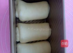 奶香吐司的做法图解7
