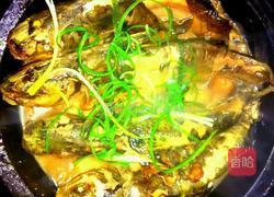 黄刺鱼焖豆腐的做法图解7