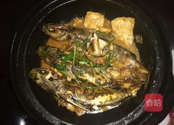 黄刺鱼焖豆腐的做法图解6