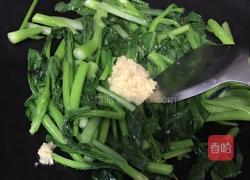 菜心的做法图解4