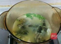 昂刺鱼豆腐汤的做法图解7