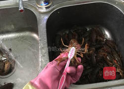 十三香小龙虾的做法图解2