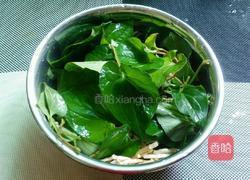 凉拌鱼腥草的做法图解1