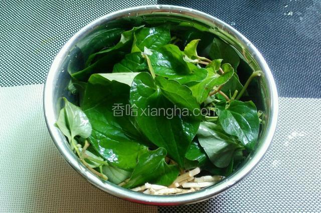 鱼腥草根去掉毛，摘好叶子洗干净。