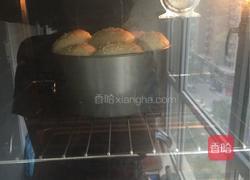 鱿鱼奶酪花朵面包的做法图解16