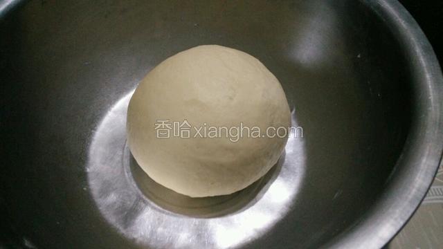 接下来做水油面  把所有的食材放入盆里  揉成面团备用  （放案板上多揉几分钟  使面团光滑）   揉好的水油面用保鲜膜盖好   松弛20分钟