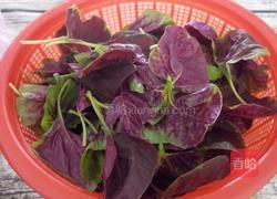 炒笕菜的做法图解1