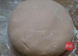 粉红色的记忆的做法图解1