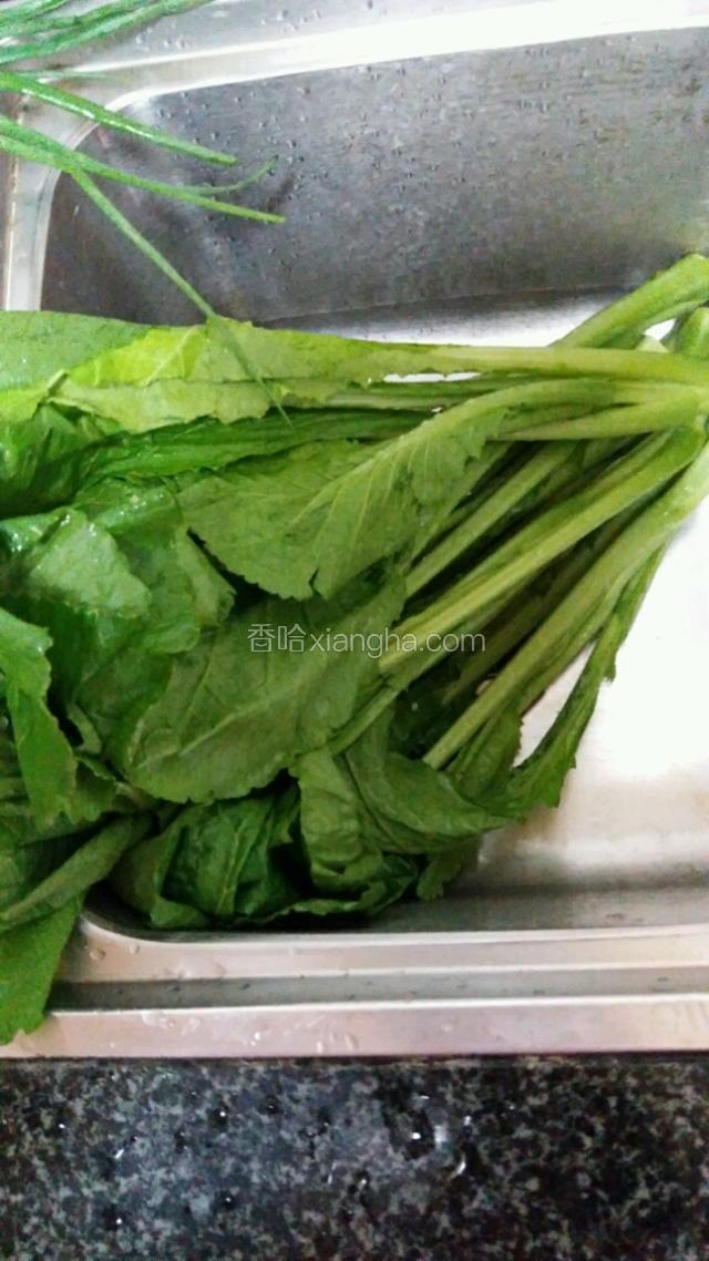 春菜洗净