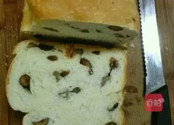 Nut Bread Recipe Illustration 5