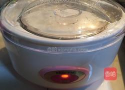 自制酸奶的做法图解9