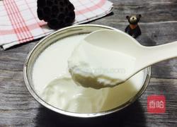 自制酸奶的做法图解10