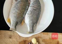 煎黑鲷鱼的做法图解1