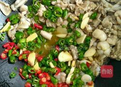 香辣牛蛙的做法图解5