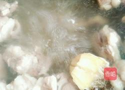 白萝卜炖羊肉的做法图解6