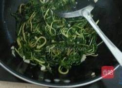 炒麻叶的做法图解4