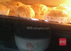 可爱的葡萄干蔓越莓软欧的做法图解7