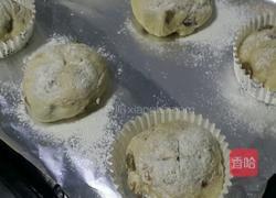 可爱的葡萄干蔓越莓软欧的做法图解8